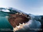 biggest fear  - biggest fear