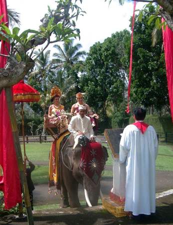 Wedding anniversary and Elephant ride in Bali - It's fun just by looking it. We will both look very different. I think it's a good idea for anniversary and worth saving money for :)