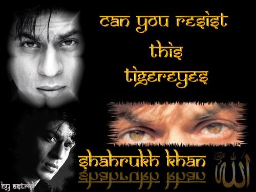 srk....!! dA doN - ma fav .............. alwayz   ki...ki..kiran.........!!