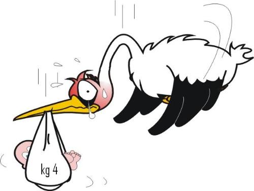 cicogna - per il bambino dell ema