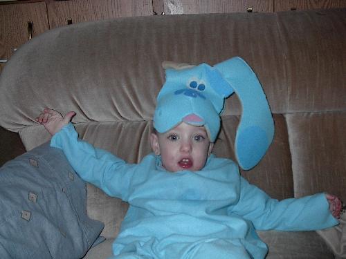 blues clues - kid dressed up in a blues clues costume.