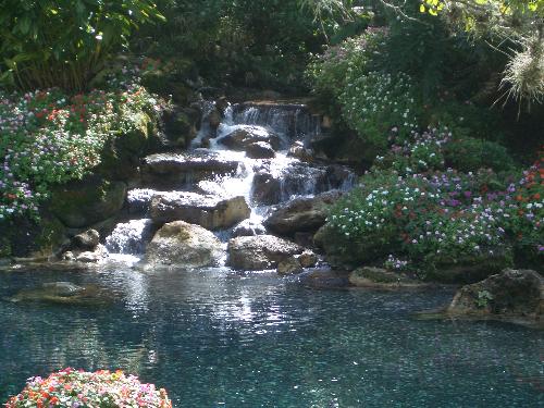 Waterfall Seaworld Orlando - Waterfall at Seaworld, Orlando Florida