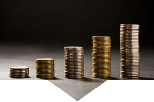 coin collections - So... can you count how much bronze coins and gold coins there?