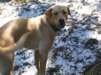 Hiking  - A common custom is to encourage the slowest hiker to hike in the lead and have everyone match that speed. Another custom is to have an experienced hiker sweep up the rear, to ensure that everyone in the group is safe and nobody straggles.