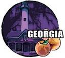 the state of georgia - the state of georgia. lighthouses and peaches