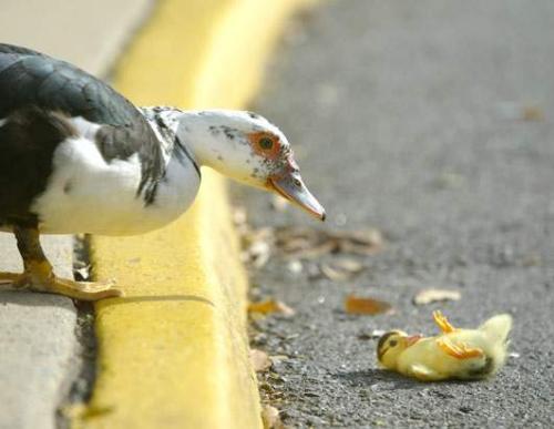 couldn't help it ma, that first step is a killer - First step !!