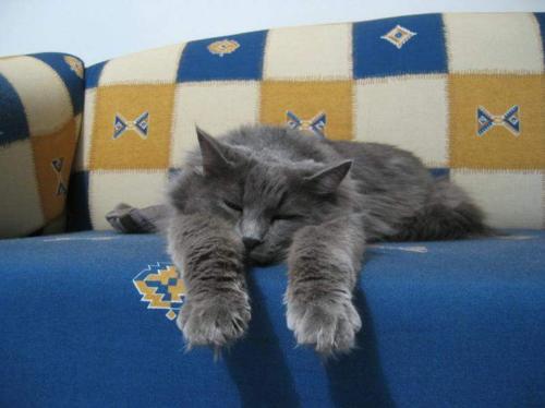 i really need to get going - He he he ..lazy