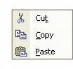 Copy paste - copy paste