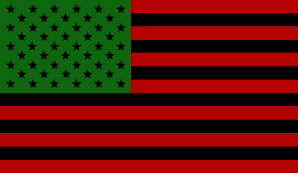 African American Flag - This country was built on the backs of the African!