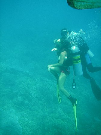 scuba diving, anyone? - scuba diving in Anilao, Batangas,Philippines