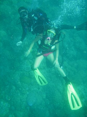 scuba diving in batangas - anilao batangas,philippines