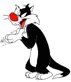 Sylvester - I love Sylvester!