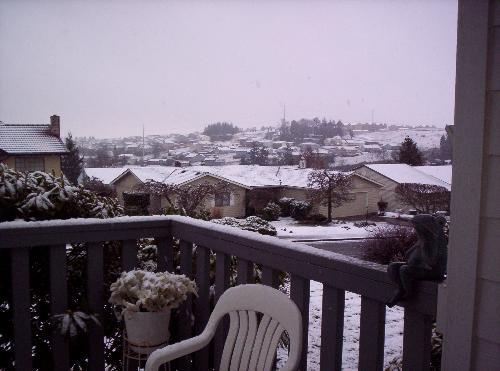 I just love snow - Just a snowy day.  I love the snow, and how it makes everything so white, and still.