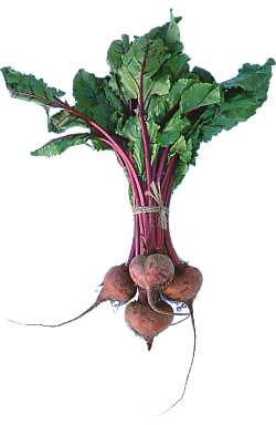 Beetroot - Bunch of beetroot.