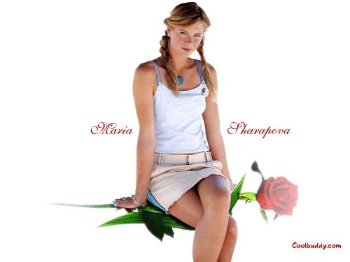 maria sharapova - maria sharapova, the rising star in the tennis world