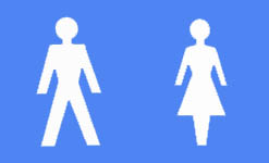 toilets - both sexes should have different toilets in public places