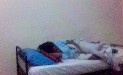 my best past time - curled up like a kitten, deeep in sweet slumber, thats the safest spot on planet earth. I really love to spent good time doing just that and being safe too.