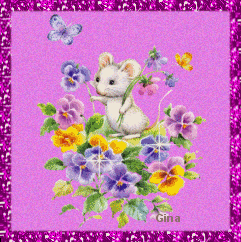 flower - Flower foto