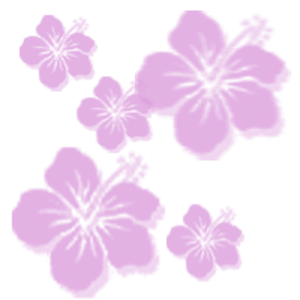 pink flowers - pink flowers