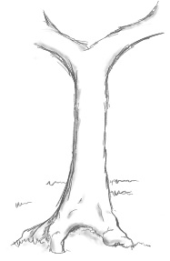 Tree test - my first test with a drawing tablet