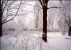 winter - do you like or dislike winter