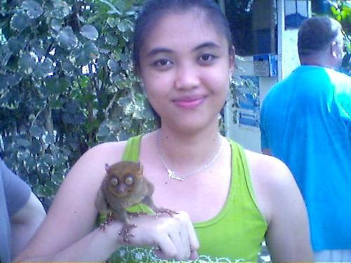Pic with Tarsier - This picture was also taken last year, May of 2006.  After visiting chocolate hills...I went and had pictures taken with the smallest primate in the world - TARSIER.  This creatures can only be found in Bohol, Philippines.  They are really tiny as you can see in the pic.  The one I am holding is an adult tarsier.