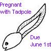 tadpole - My daughter Lorelai is due June 1 and we call her'tadpole'.