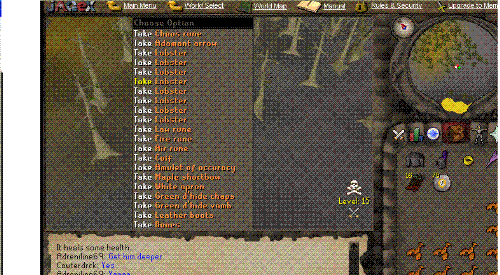Runescape Wildy Kill - This is a kill I got in the wildy. About 50k worth of stuff here.
