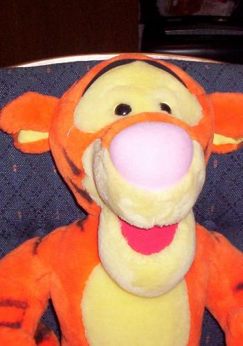 tigger - Just one of my tiggers from my collection.  