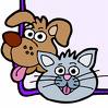 Dogs n Cats - A dog n a cat