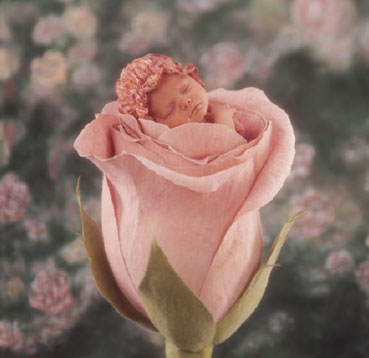 My child - I know your credits to this photos