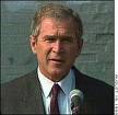 Bushhh -  this is the pic of the previous president of America !!