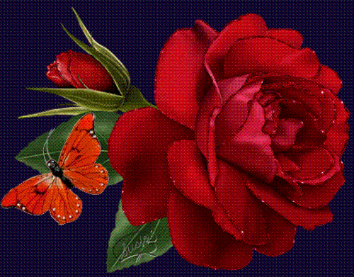 Rose - Do U Like Roses?