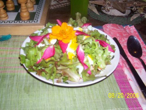 Veggie diet - Veggie Diet