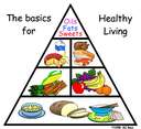 Recommended Healthy Eating - In order of quantity to be eaten daily :  6 - 11 servings of carbohydrates; 3 -5 servings of Vegetables; 2- 4 servings of fruits; 2 - 4 servings of proteins; 2 - 3 servings of milk group. Sugar, salt, fats and caffeine to be taken in moderation.  Try to drink 8 glasses of water each day.