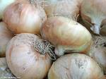 Onions - Onion smells