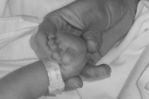 Baby Toes - Little baby toes,