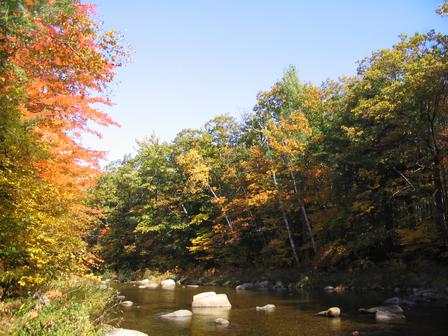 The Cold River - This is the Cold River in the Lakes reigon of NH.