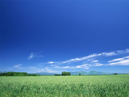 piece - The blue sky white clouds,the green grass blue is blue,lets tusdeeply love the nature.