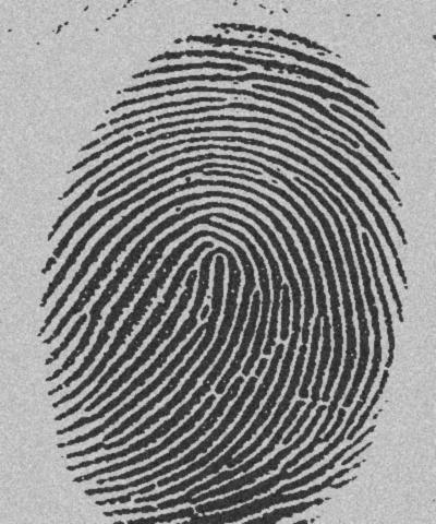 Fingerprint - Fingerprint recognition System.....my project