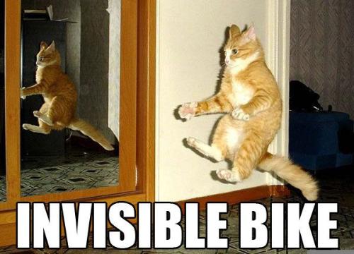 invisible bike - this cat is riding a bike :))