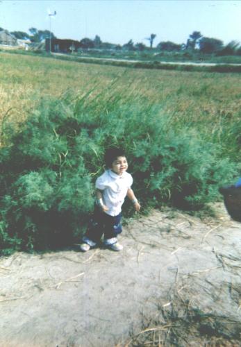 cute - a beautyful baby near in nature.