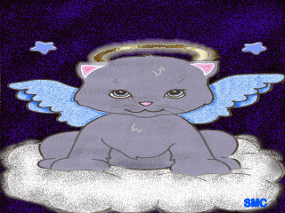 Angel Kitty - Another one of my computer doodles. I feel I have way to much time on my hands here...LOL
