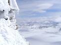 Ice Cold Weather - Ice Cold Ice Cold Weather - Ice Cold