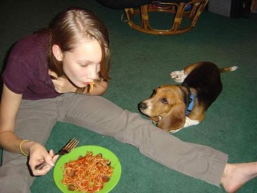 click to enlarge - This is Bailey begging for just a lick! LOL