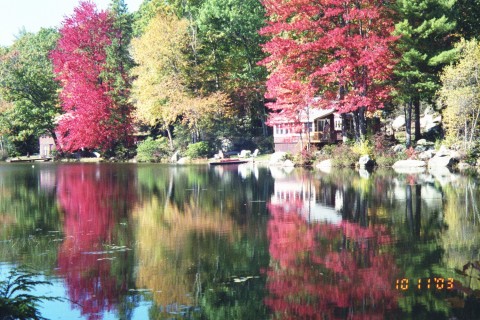 Foliage - This is a lake hidden in the woods in Pittsburg,NH,usa.