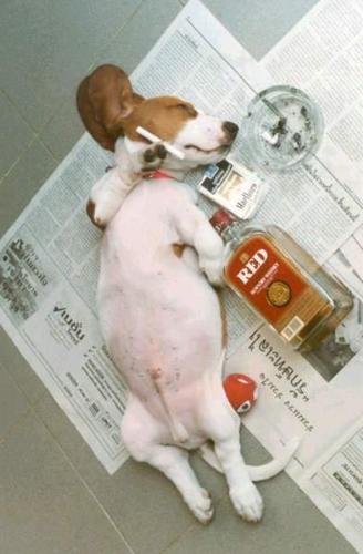 shhhhhhh.......!!!!!! -  he is sleeping,don't disturb.ok
