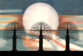 moon light - beautiful moon light
