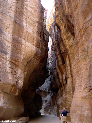 petra - petra in jorgan