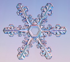 snow flake - snowflake in detail